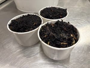 Three cups filled with hardened carbon and grease removed from a conveyor oven by Velocity Hood Cleaning.